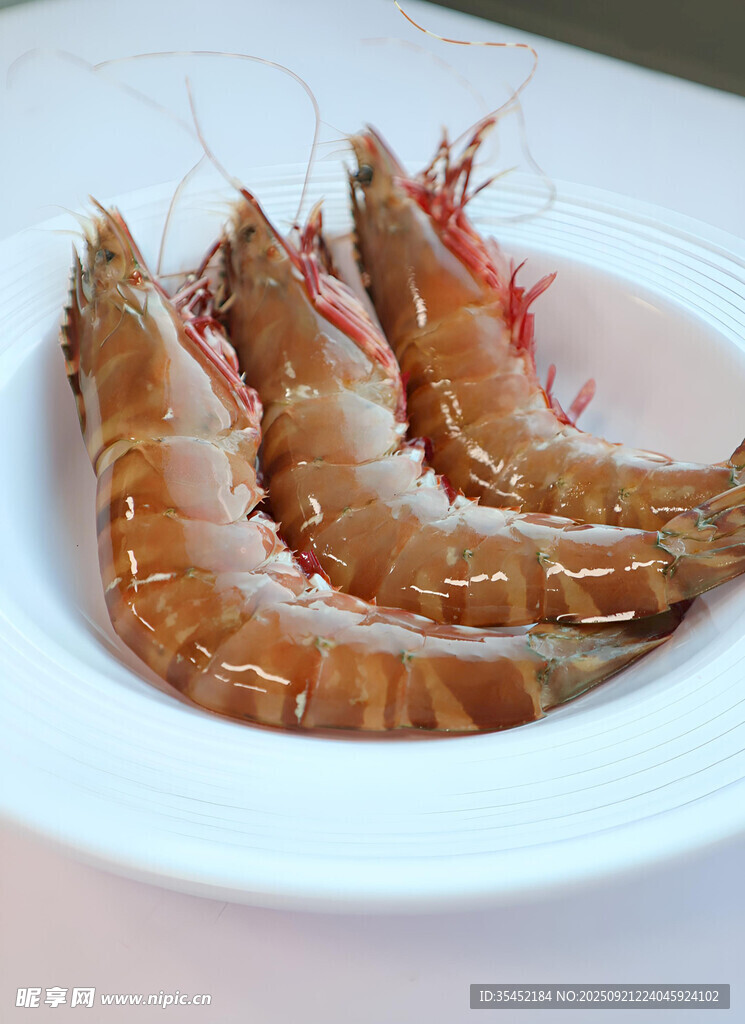 紅爪斑節(jié)蝦