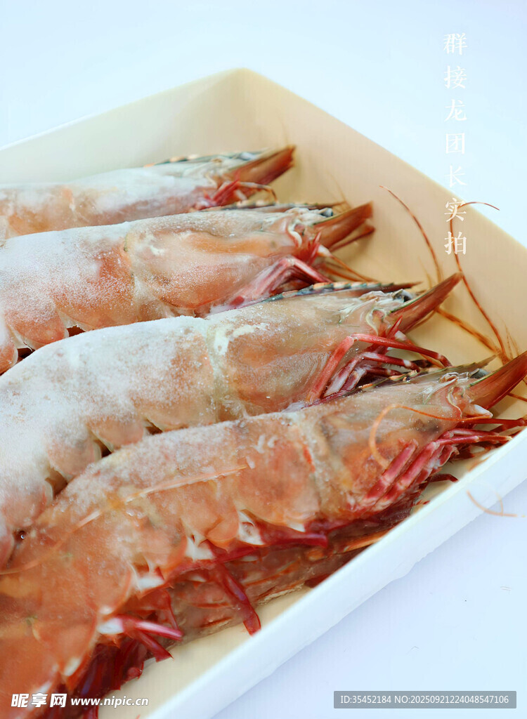 紅爪斑節(jié)蝦