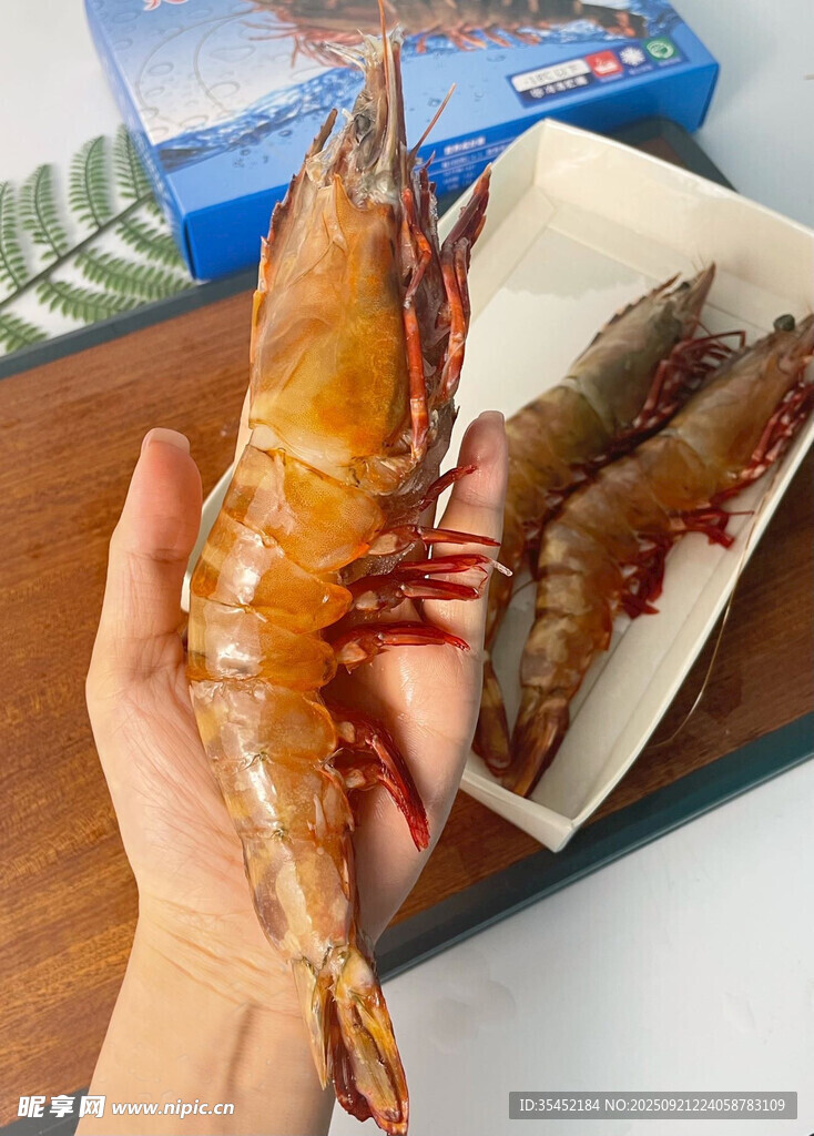 紅爪斑節(jié)蝦