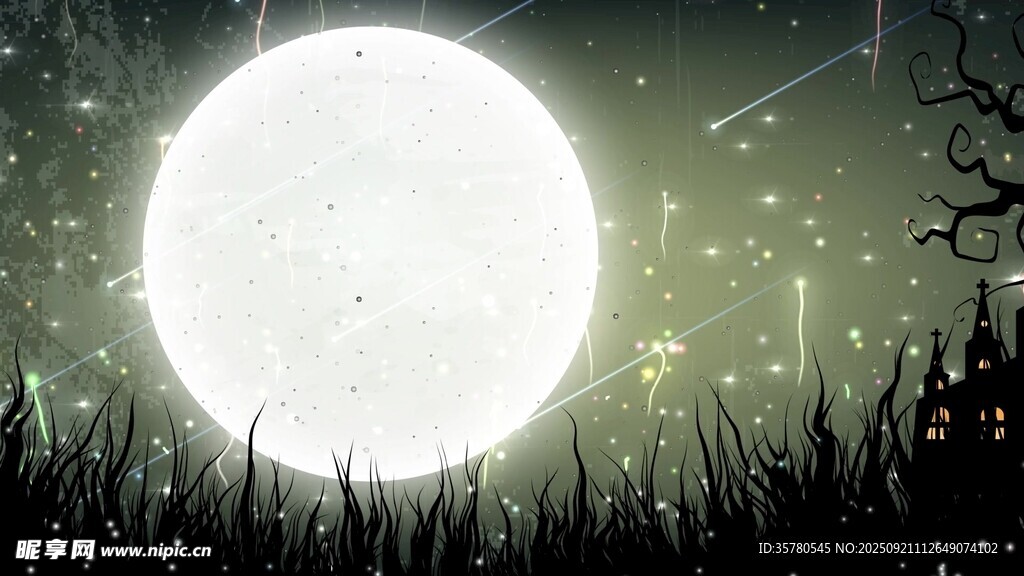 月夜下的草叢與璀璨星空