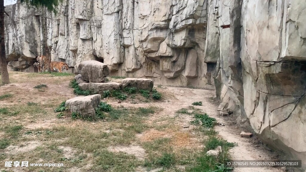 巖石景觀中的自然風(fēng)貌