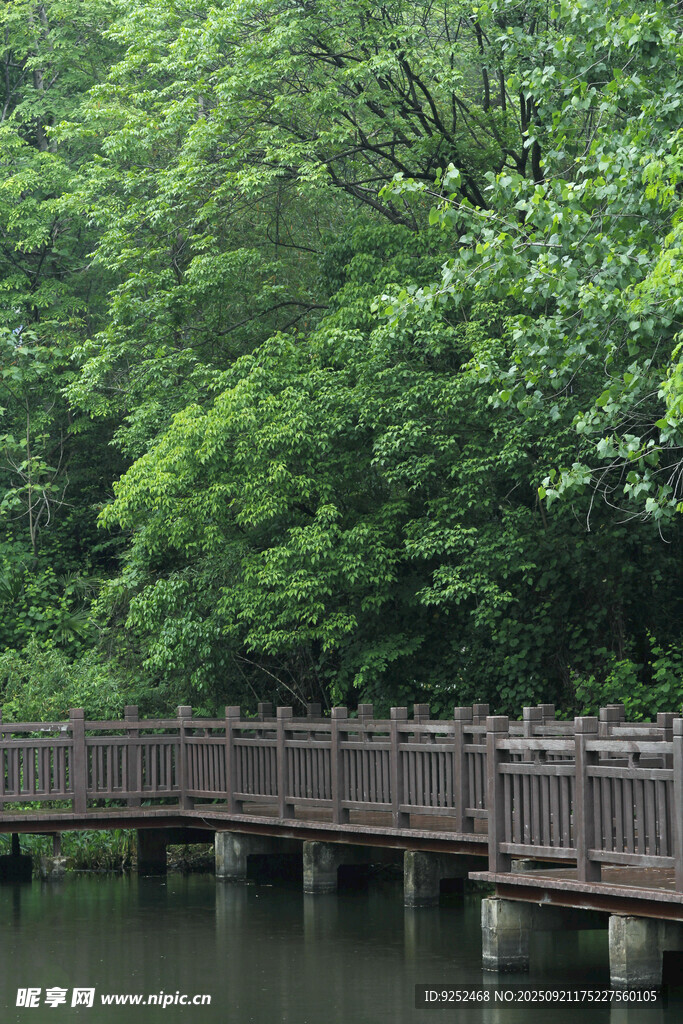 木橋 湖水 綠樹