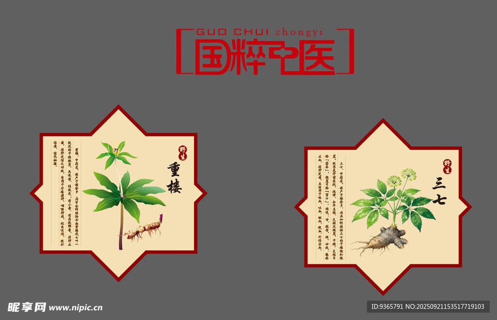 中藥植物文化標(biāo)簽設(shè)計(jì)