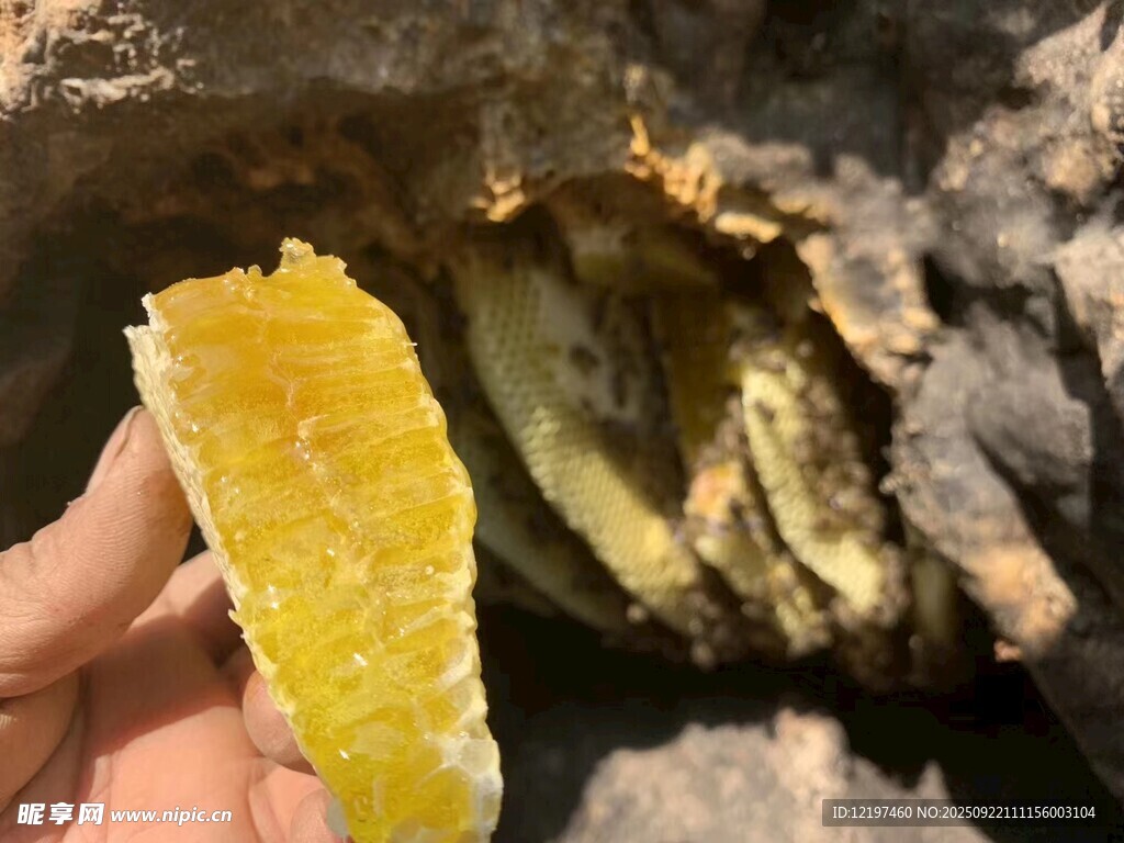 手持黃色礦石特寫