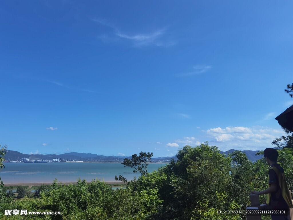 藍天綠樹間的開闊景致