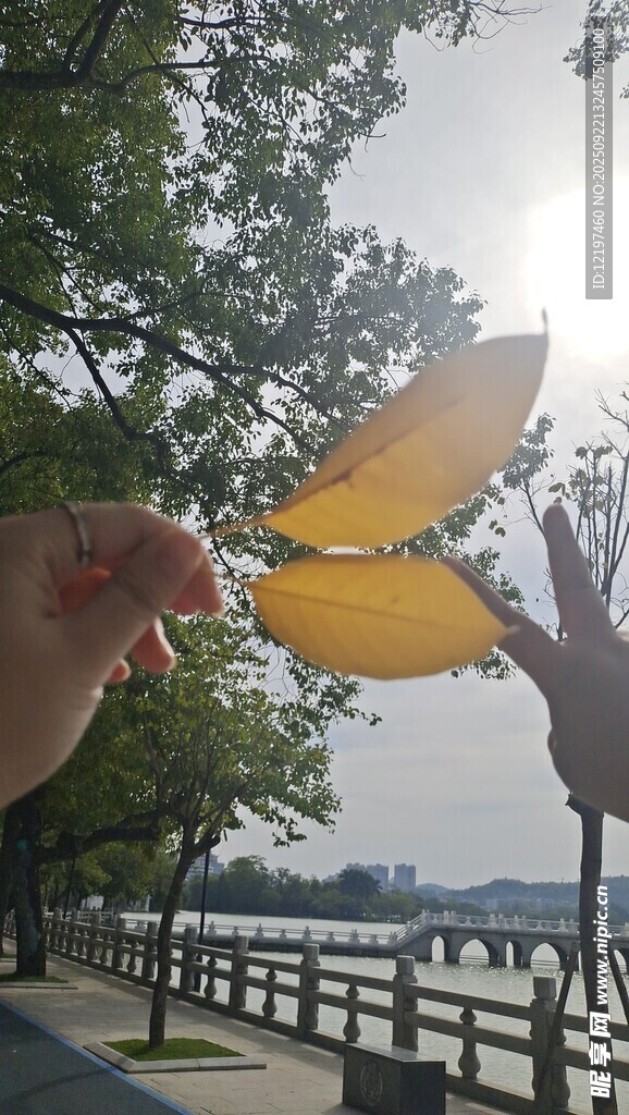 手拋回旋鏢于湖畔美景