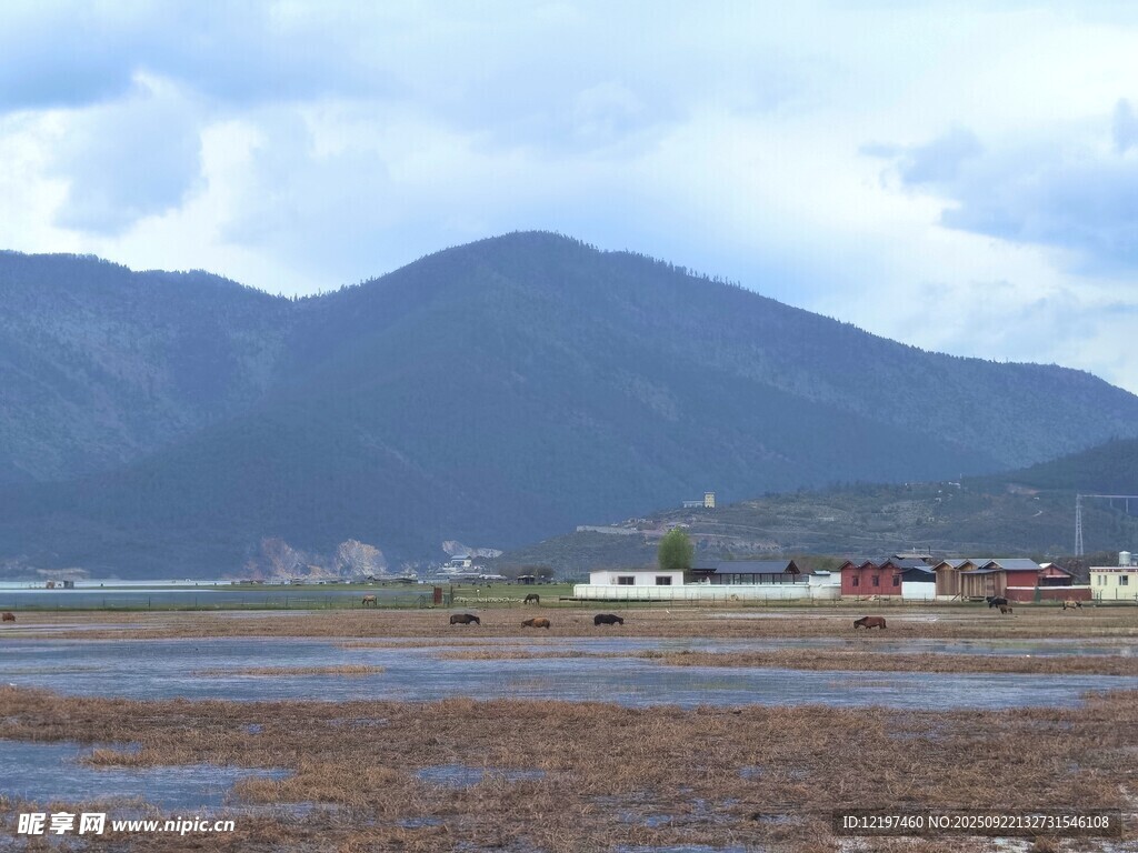 遠山近灘的美麗景致