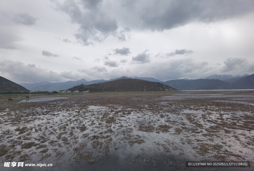 陰天濕地景觀