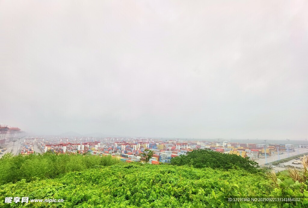 綠意盎然中的城市遠景