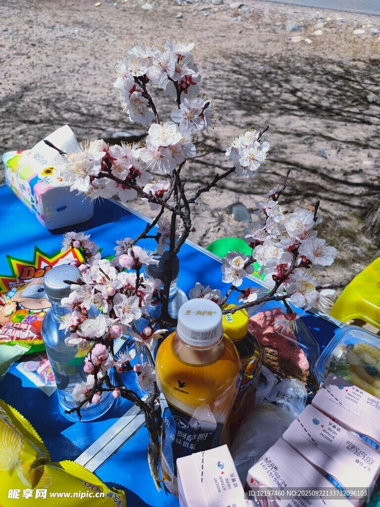 戶外野餐場景布置與美食