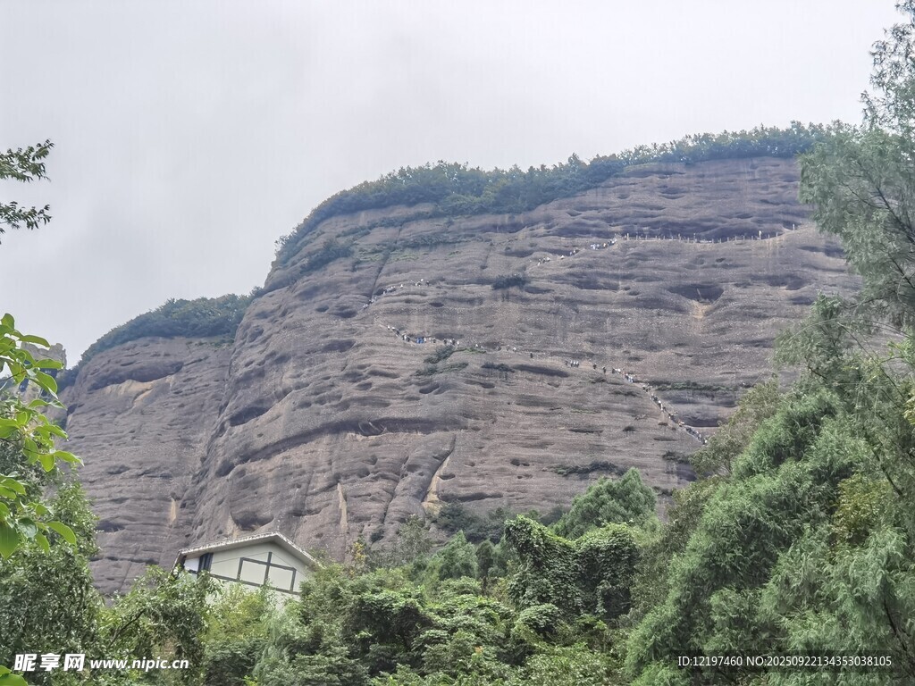 陡峭山崖旁的蔥郁植被