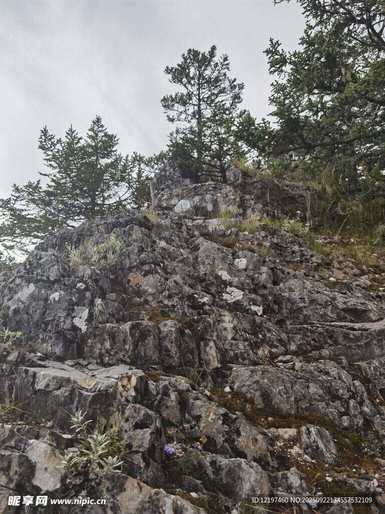 嶙峋山石與山頂樹木景觀