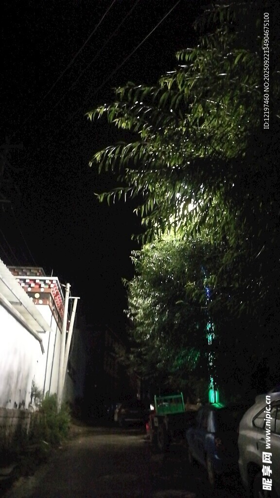 夜晚街道旁的綠植與燈光