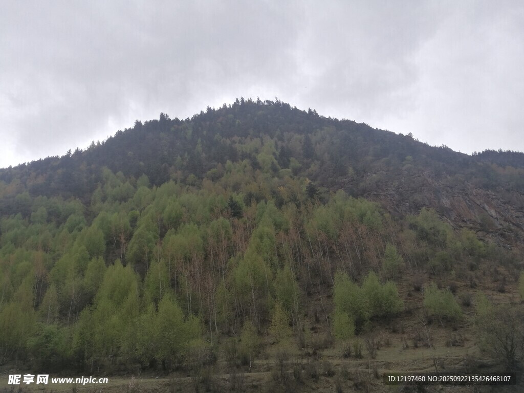 山巒綠樹間的自然景致