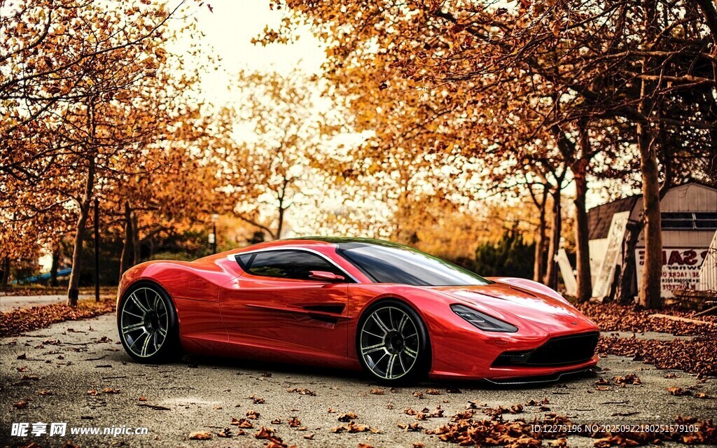 秋日林間的紅色炫酷跑車