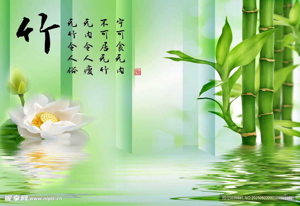竹影荷花水中景