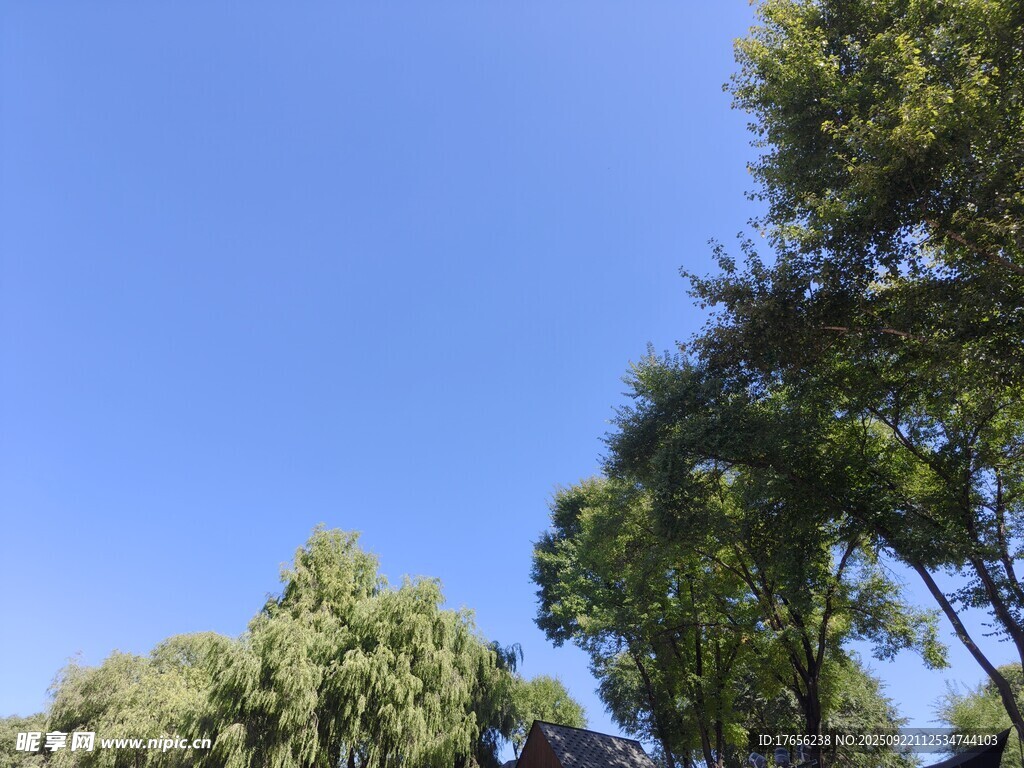 藍天綠樹風(fēng)景