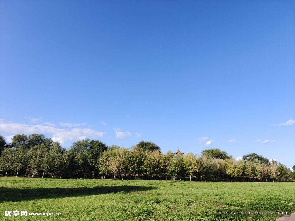廣闊綠野與藍(lán)天綠樹美景