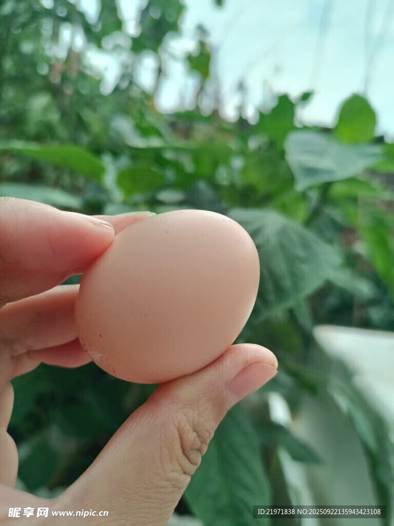 手捧粉色圓潤雞蛋