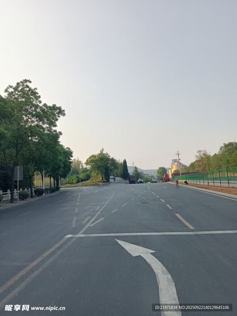 寬闊公路與路邊綠樹