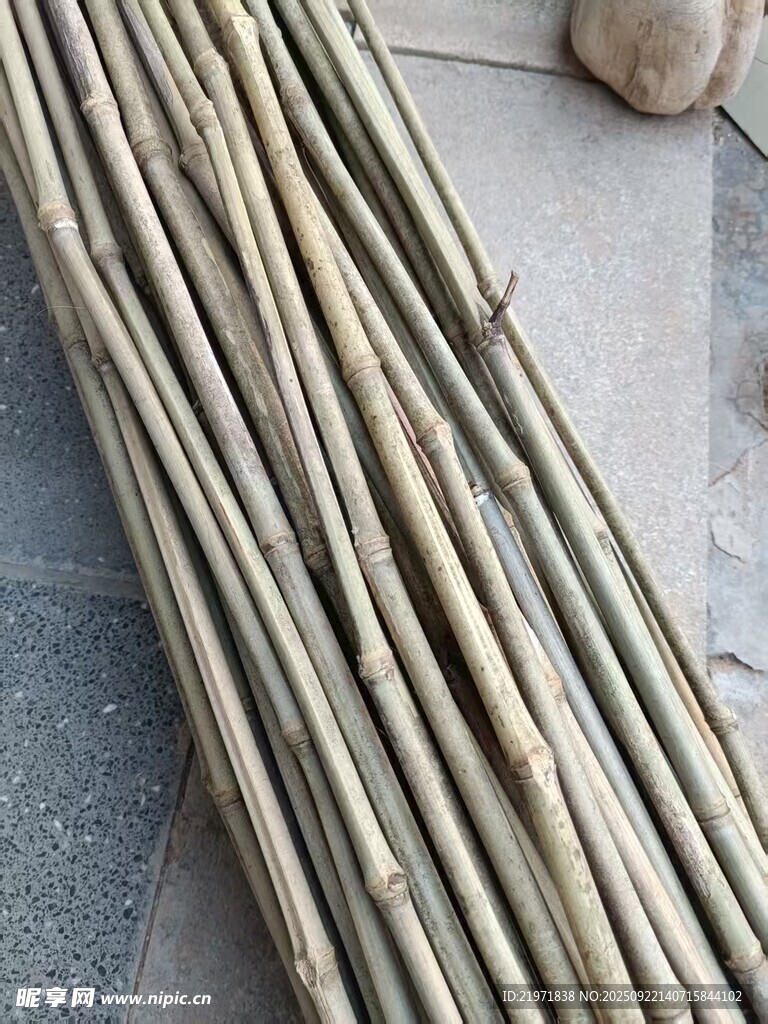 新鮮竹竿整齊擺放