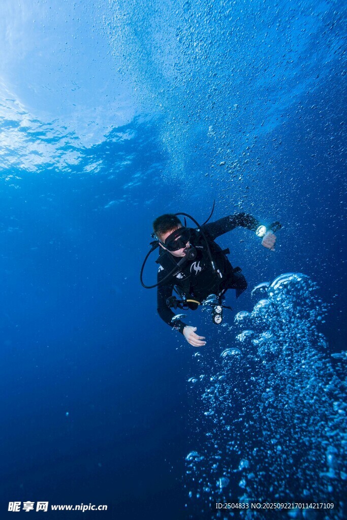 深海潛水員的奇妙水下之旅
