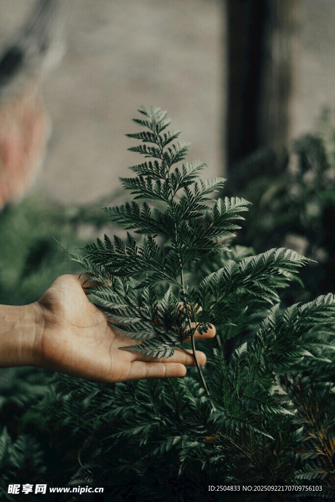 手觸翠綠植物