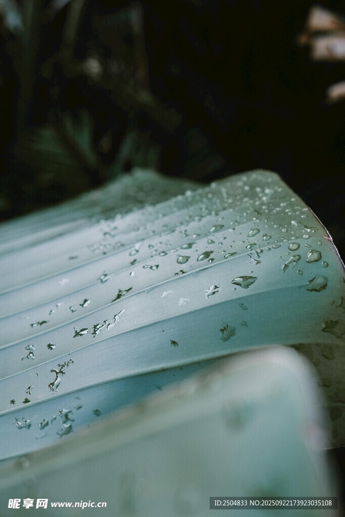 晶瑩剔透的藍(lán)綠色晶體