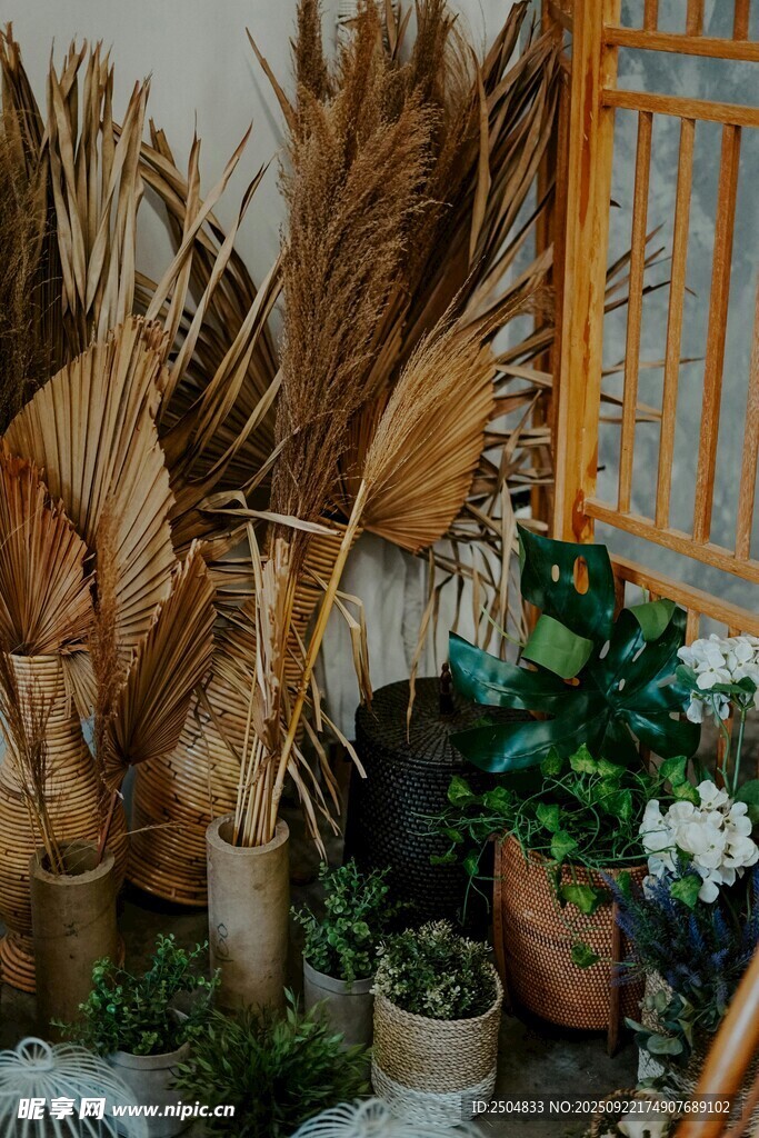 室內(nèi)裝飾的干花綠植組合