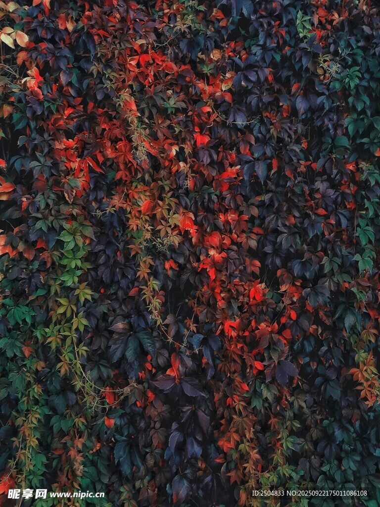 多彩抽象紋理圖案
