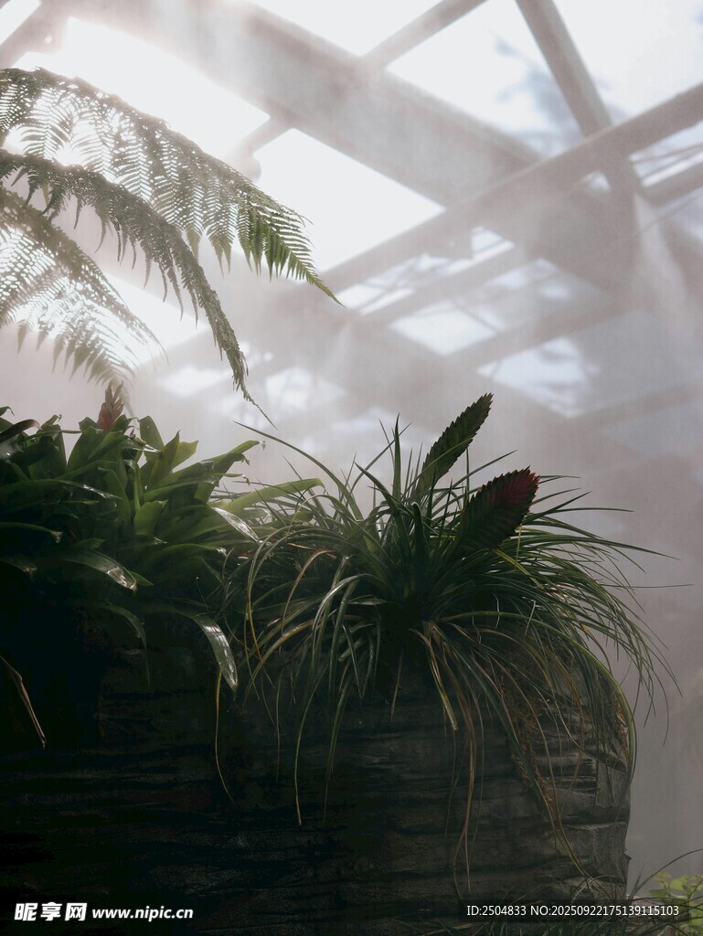 陽光灑落的綠植景觀