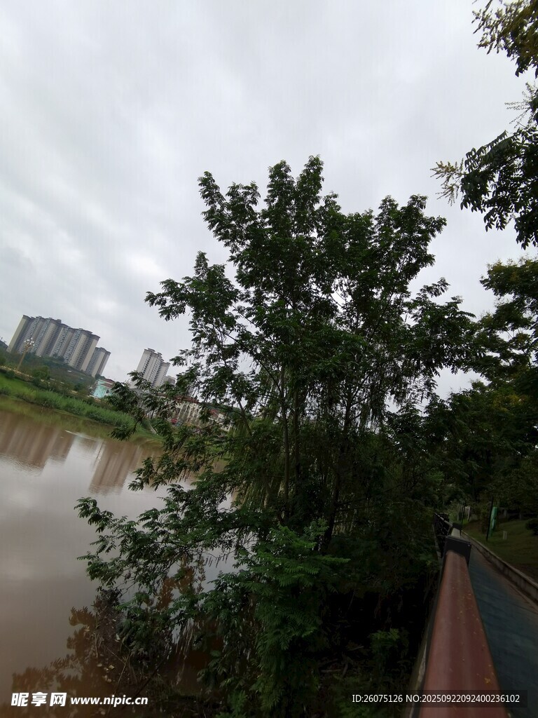 河畔綠樹與遠(yuǎn)處樓景