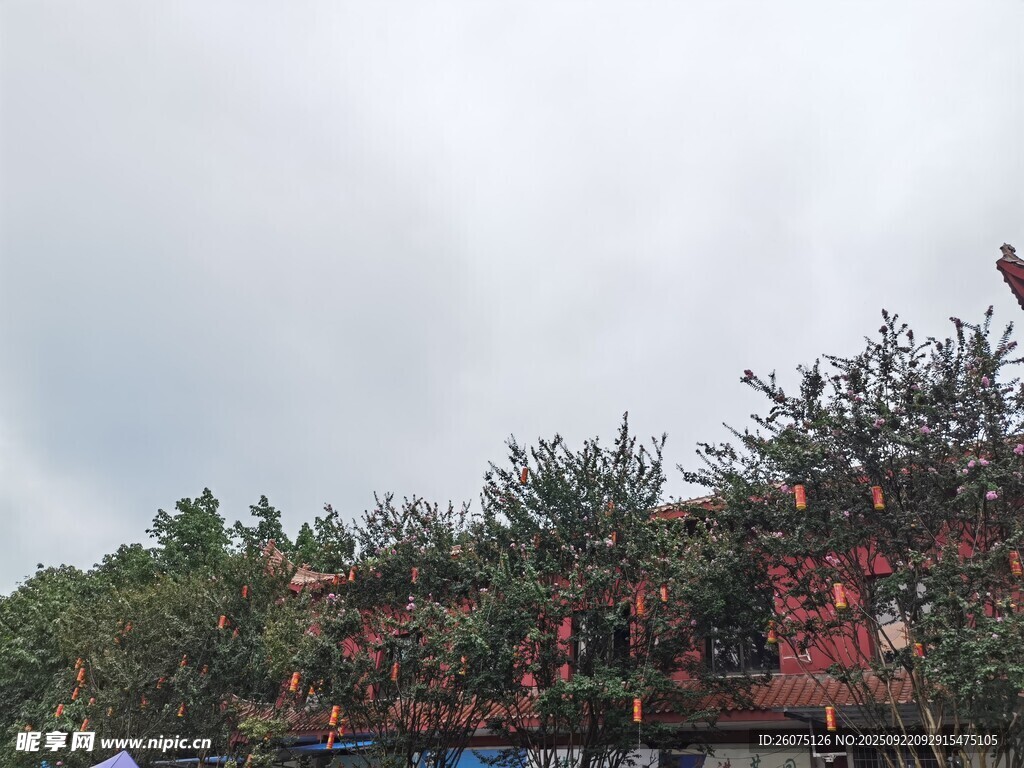 山林間的紅色祈福牌景觀
