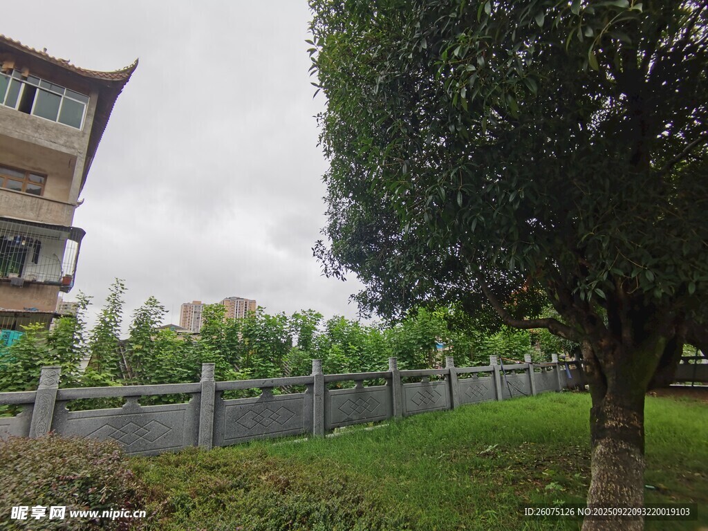 庭院綠植與建筑景觀