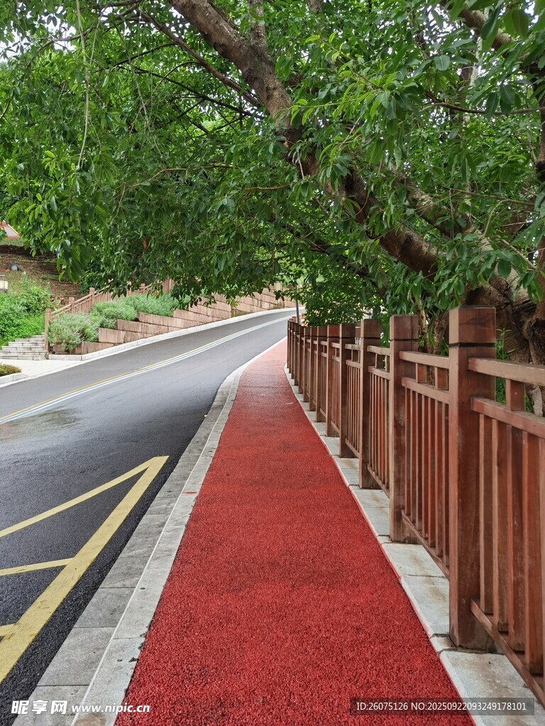 路邊紅地毯景觀