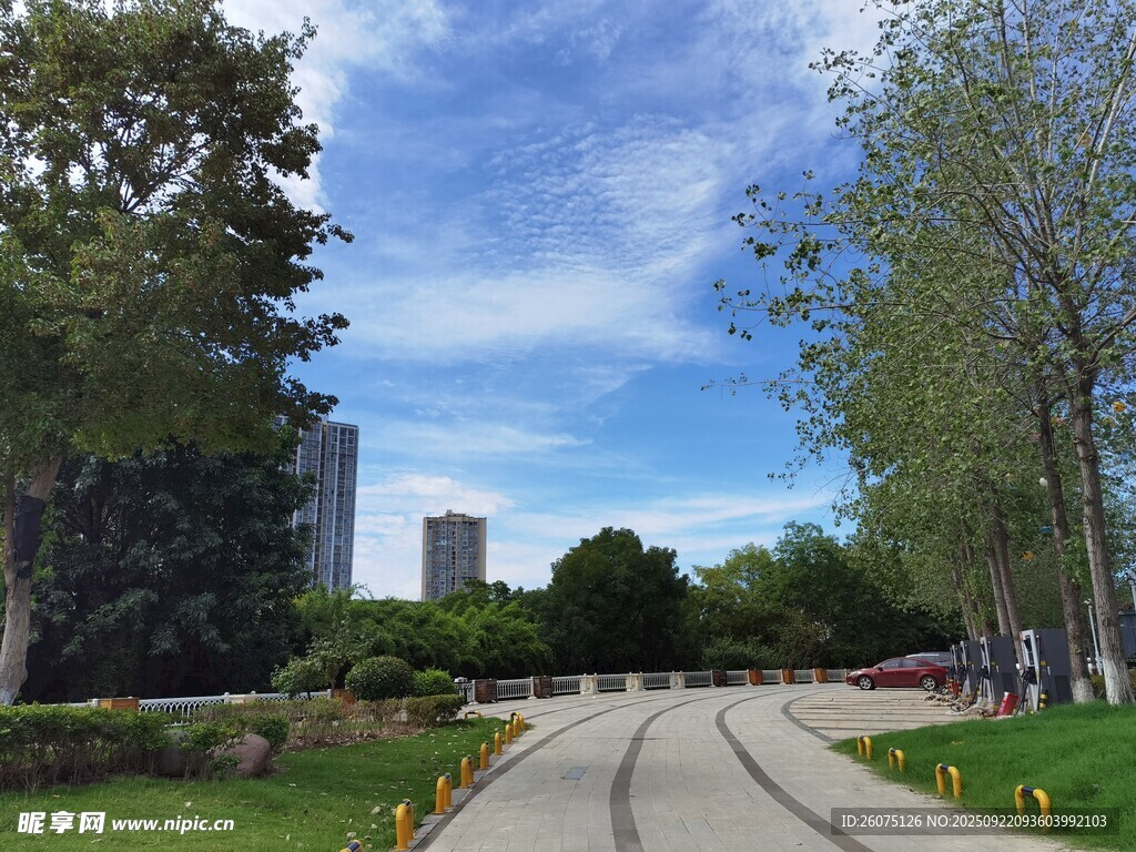 城市林蔭道路風景