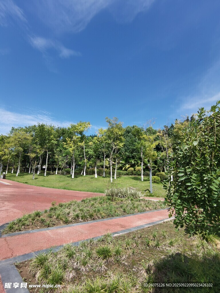公園綠地美景