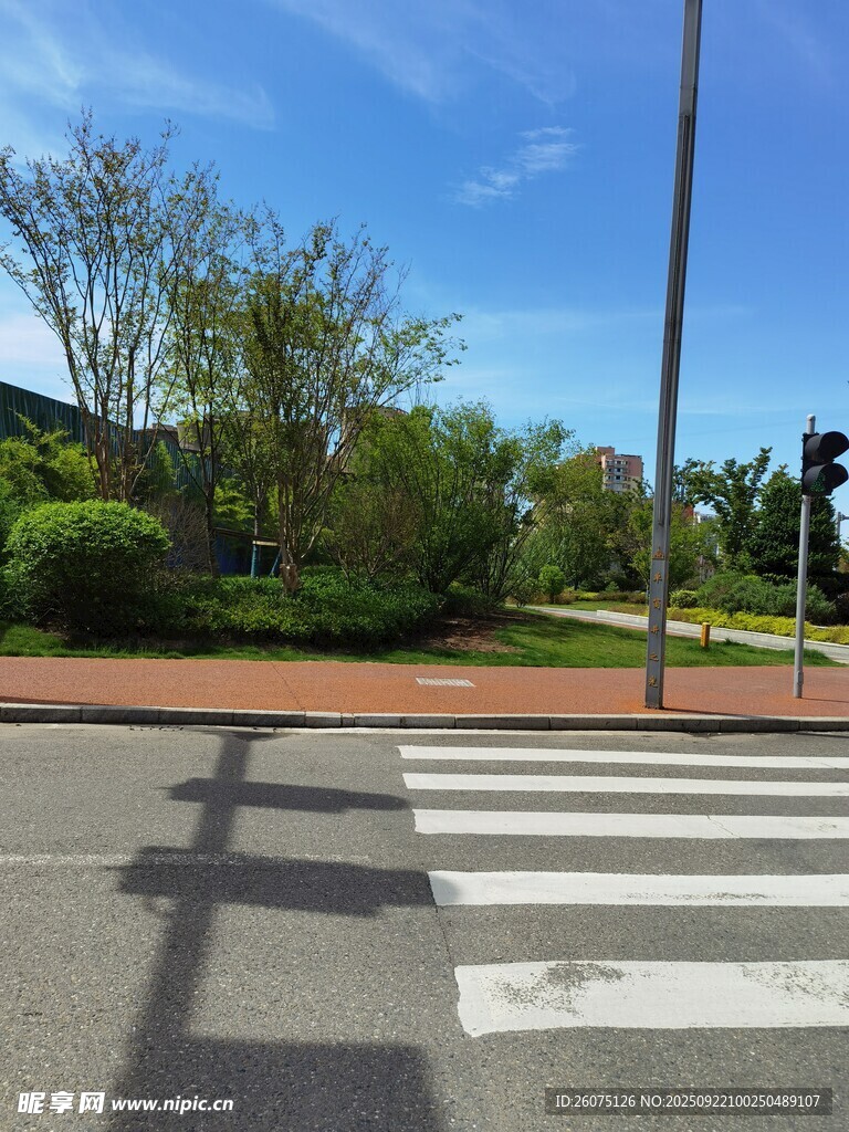 城市道路上的斑馬線景觀