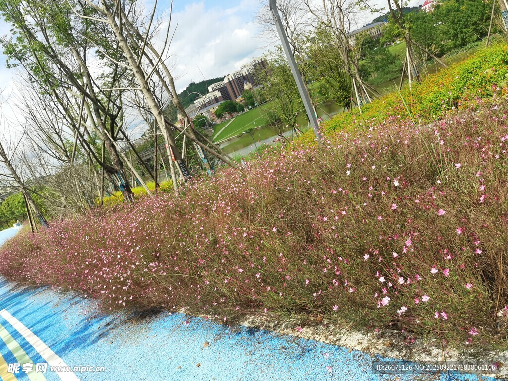 藍(lán)道旁多彩植被景觀