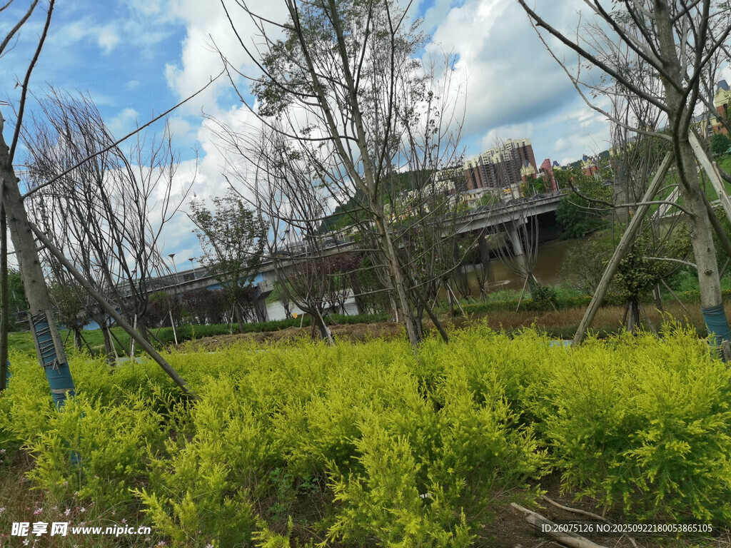 春日田野旁的房屋與綠植