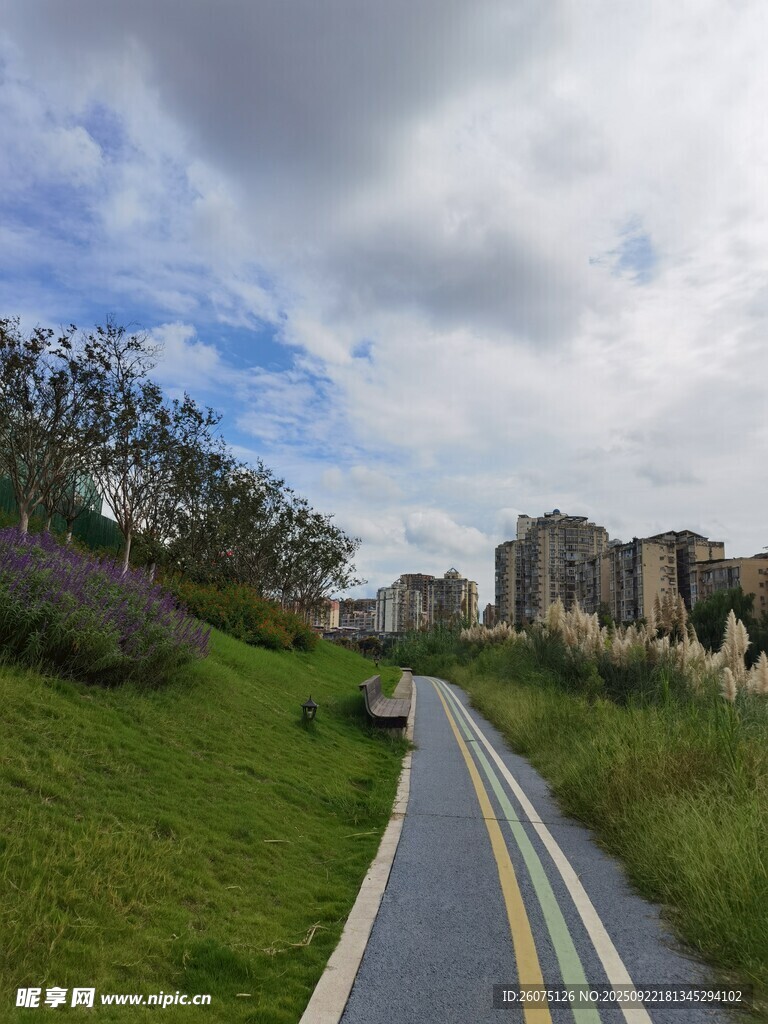 郊外小徑自然與建筑之景