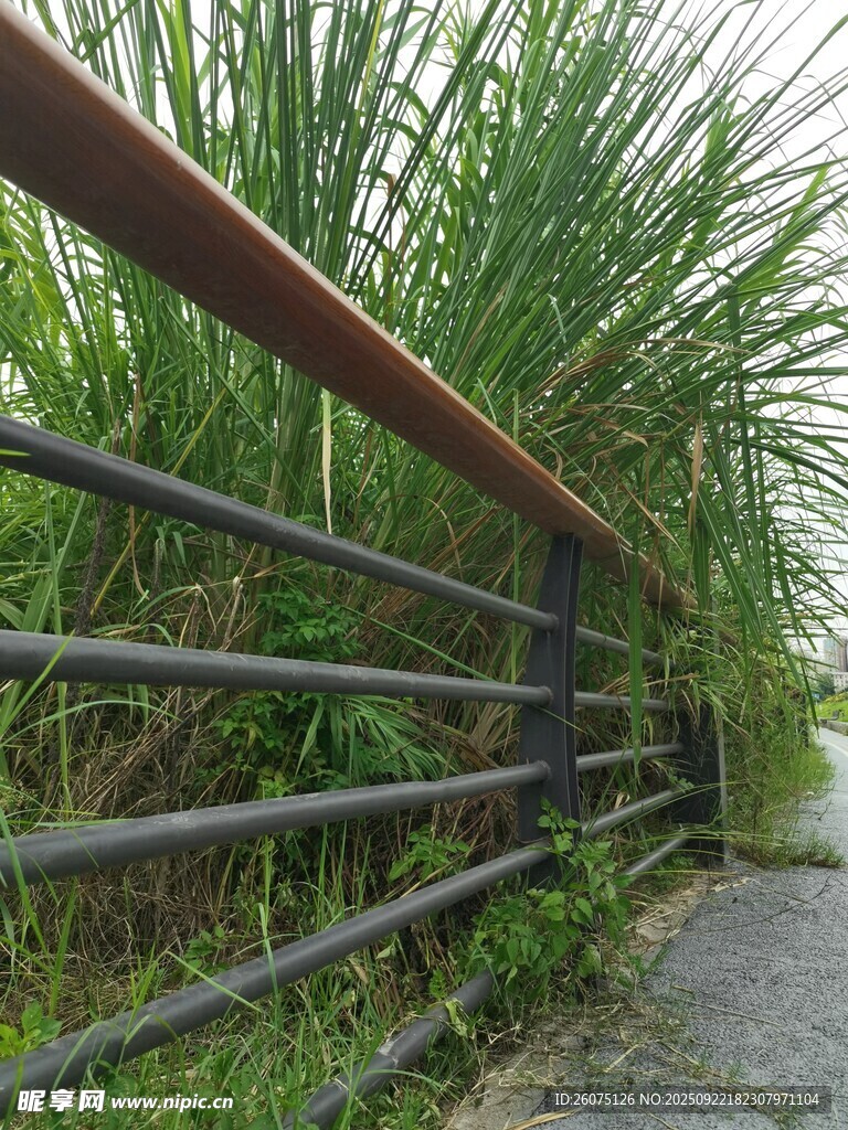 小徑旁的金屬欄桿與綠植