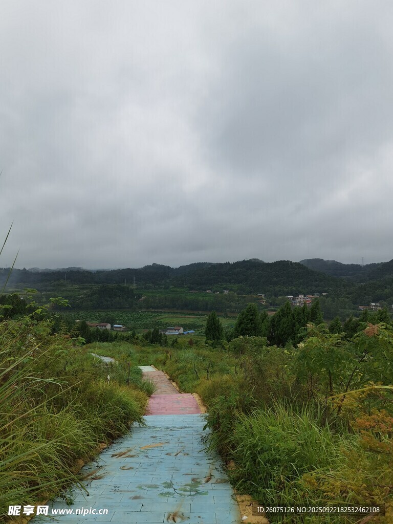 雨中彩色小徑山野景致