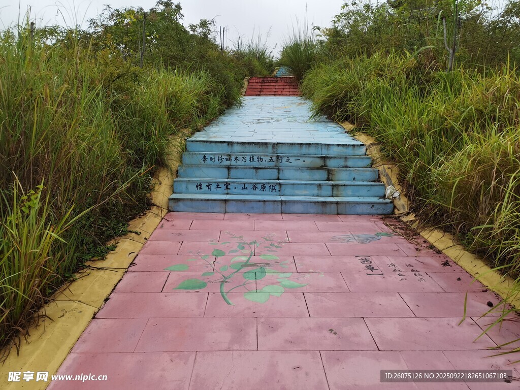 彩色步道穿行于綠植間