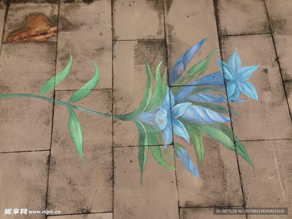 地面上的藍(lán)色花卉彩繪