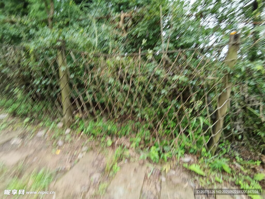 戶外綠植環(huán)繞的圍欄場景