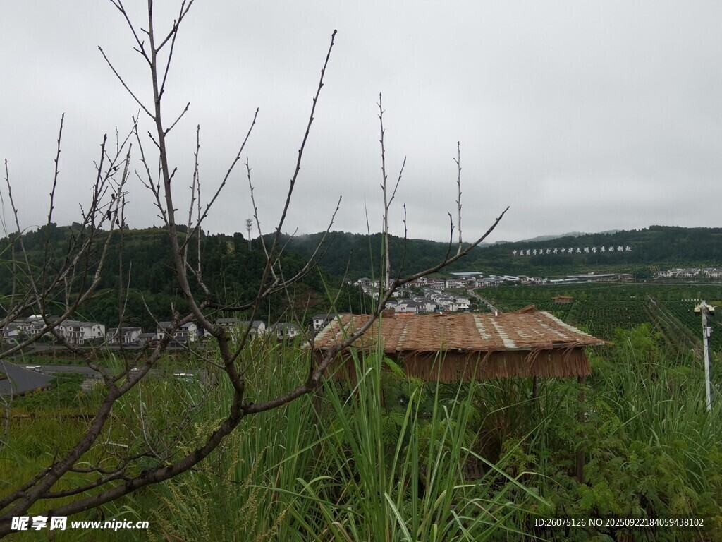 野外木屋風景
