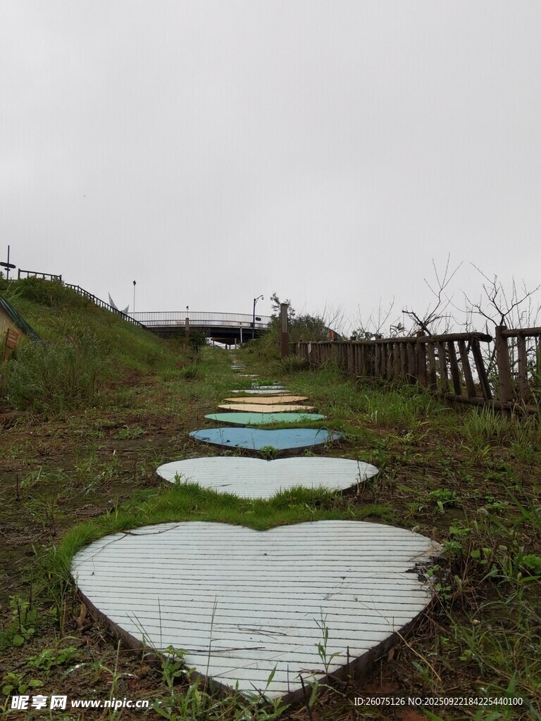 草地上的心形彩色步道