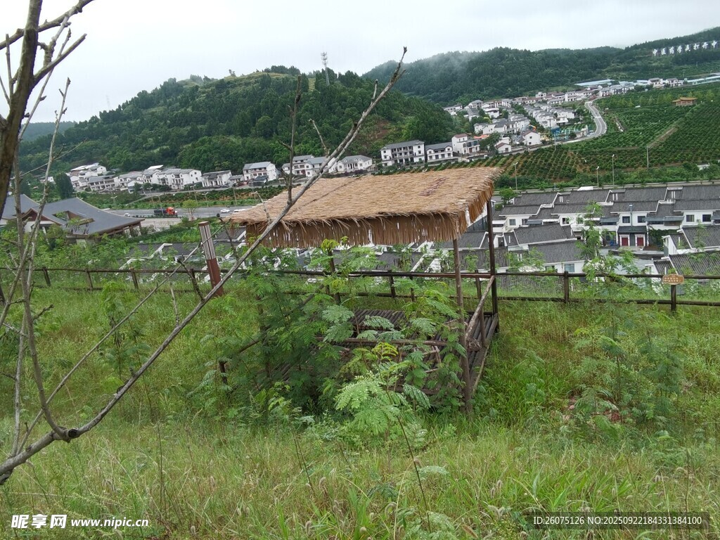 鄉(xiāng)村草間涼亭遠(yuǎn)景風(fēng)光