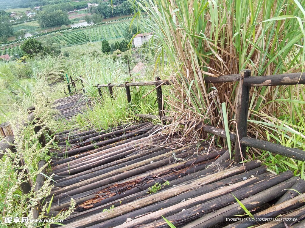 山間竹制簡易小徑
